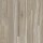 PERGO EXTREME Luxury Vinyl Flooring: Pergo Extreme Preferred Wood Originals Moon Mist